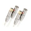 equator xlr