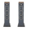 Focal Theva No2